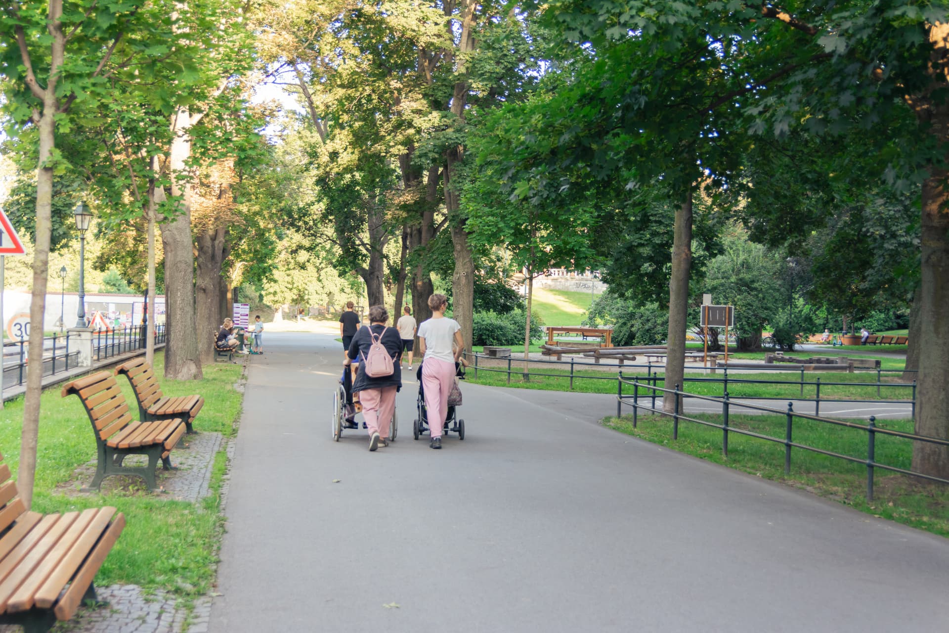 Stromořadí a zelená promenáda v Opavě